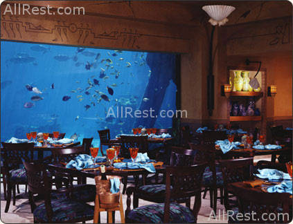 Atlantis Paradise Island Resort 81